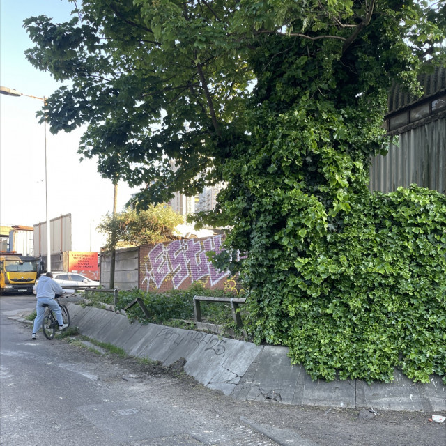 Spot #47249