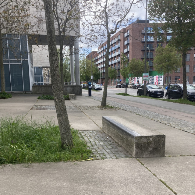 Spot #31389