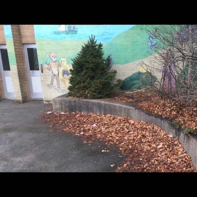 Spot #11829