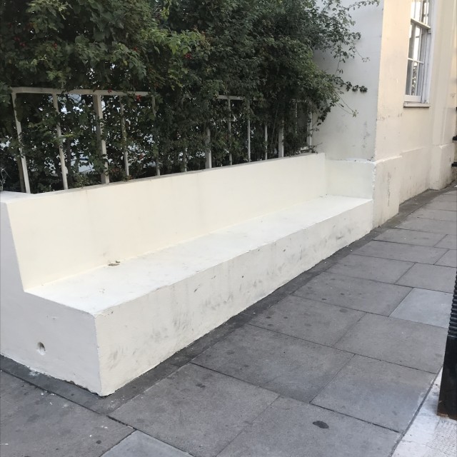 Spot #11337