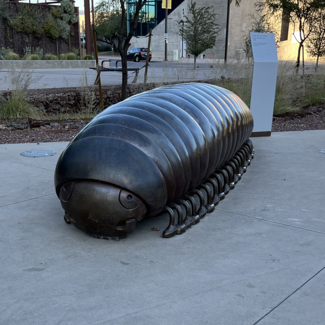 Bug