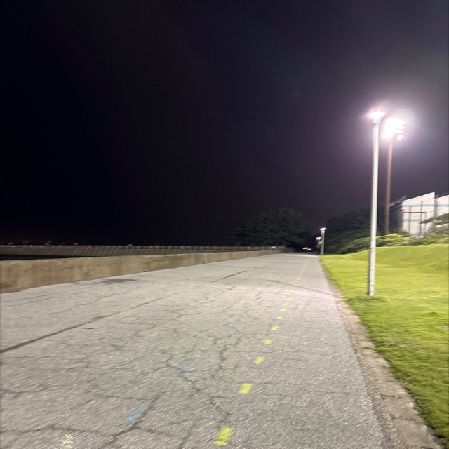 夜スポ