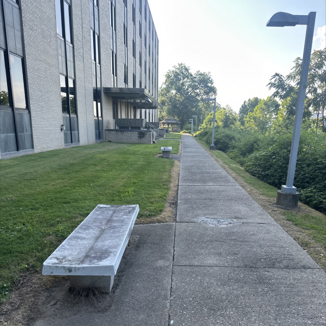 Frontier benches 