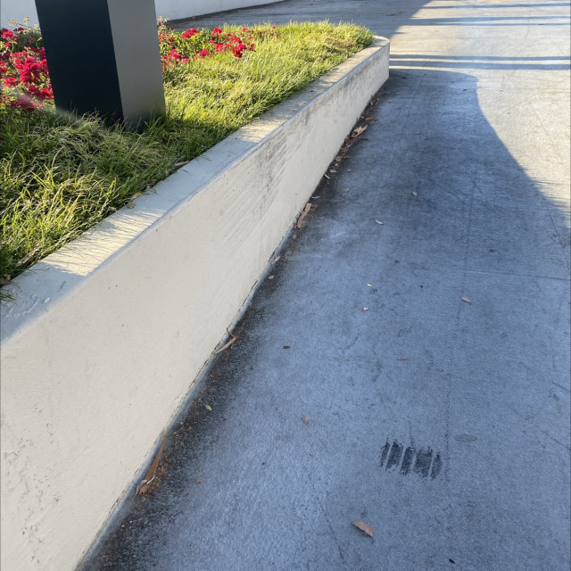 Fun ledge at mall 