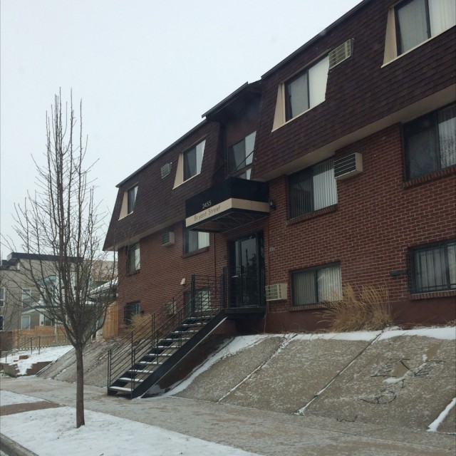 Spot #3203
