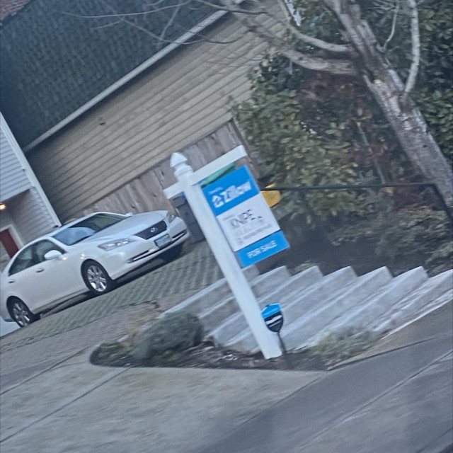 Spot #29232