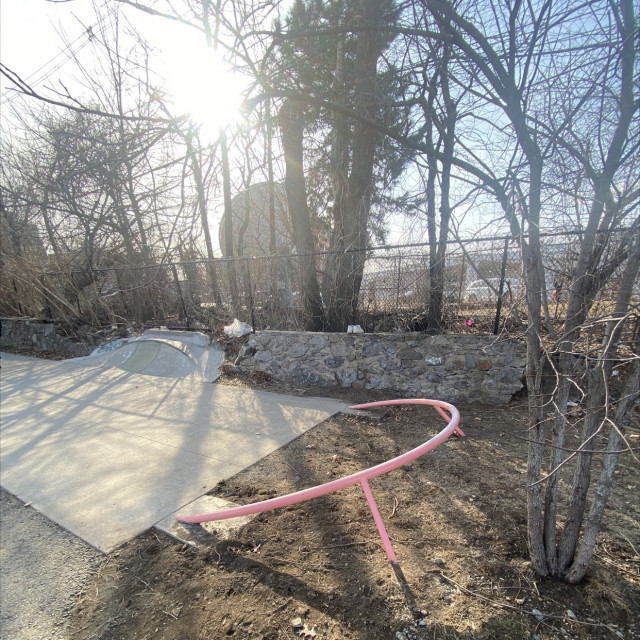 Pink Curve Diy Rail