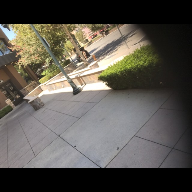 Mall huba