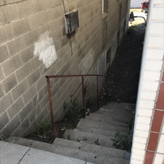 Alley snail