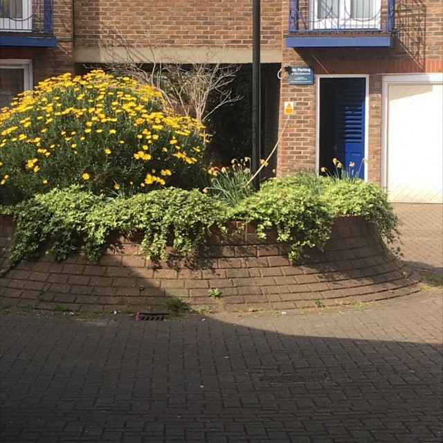 Spot #8676