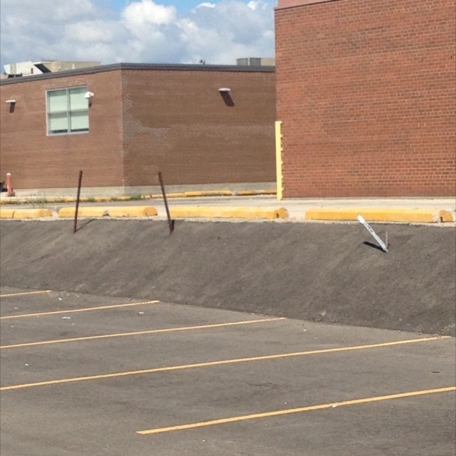 Polejam banks