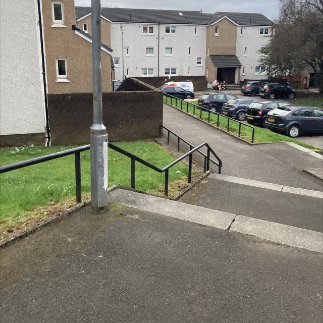 Spot #24484