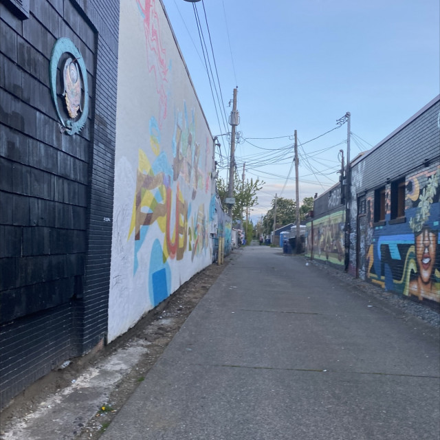 alley trick practice spot