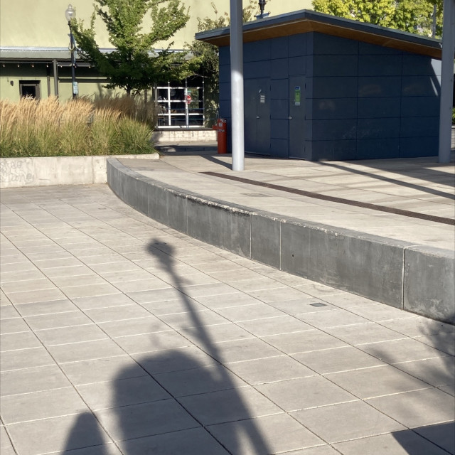 Spot