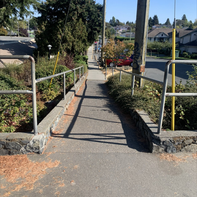 Long wheelchair ramp Rail