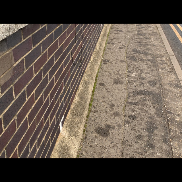 Wallride Bump Carve