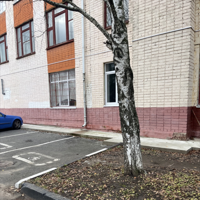 Update flat