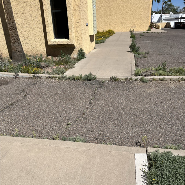 Diesel ass flat gap 