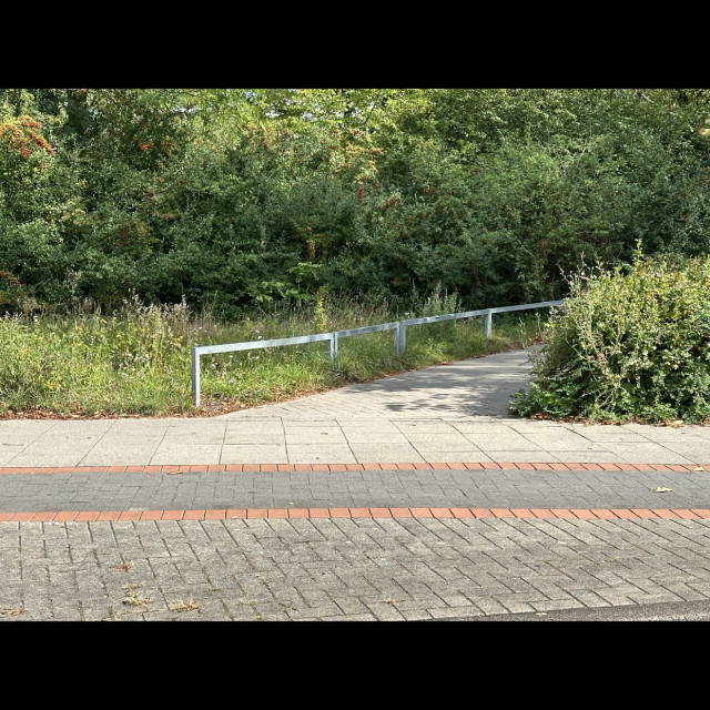 Spot #49559
