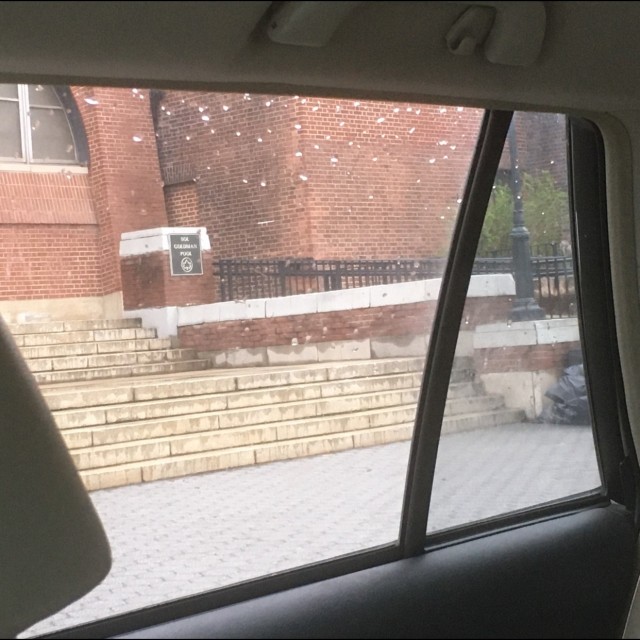 Spot #17202