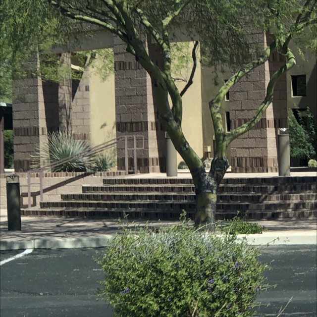 5 stair with hand rails 