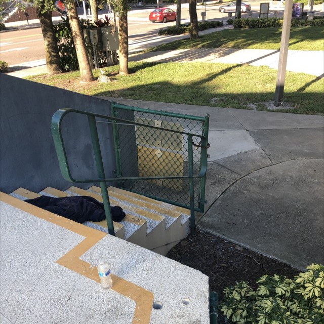 Williams park 