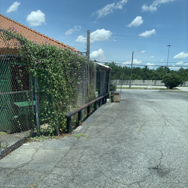 Spot #47922