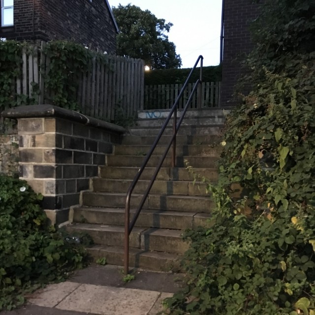 Spot #7991