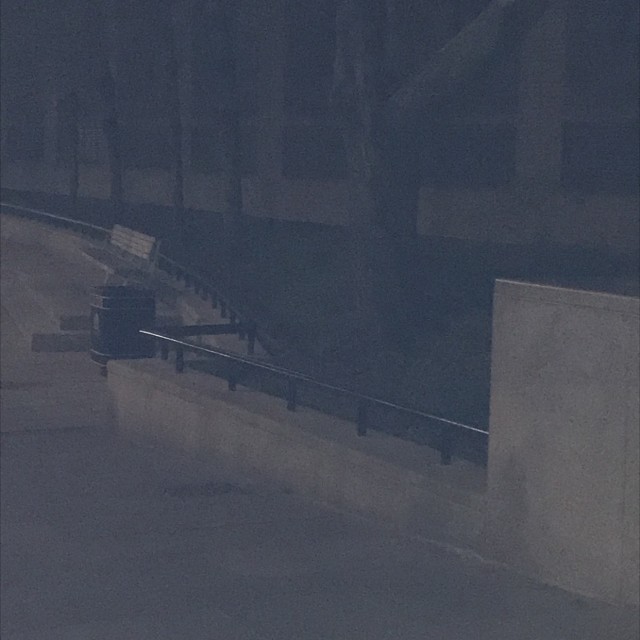 Spot #11936