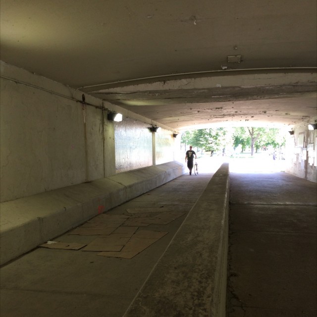 Belmont wall ride 
