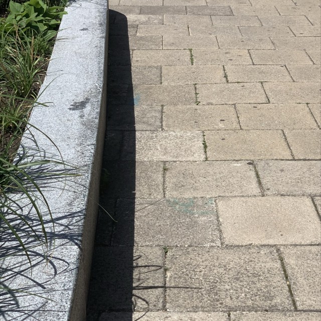 Spot #19267