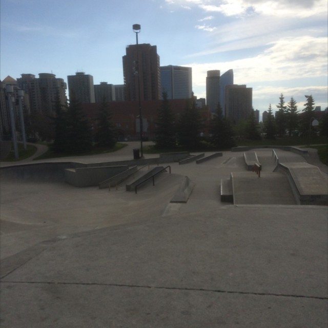 Shaw millennium skatepark