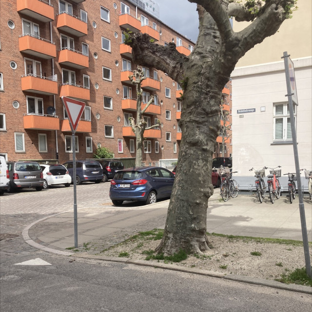 Spot #31385