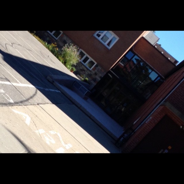 Spot #5594