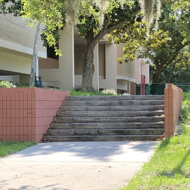 usf outlead saavin