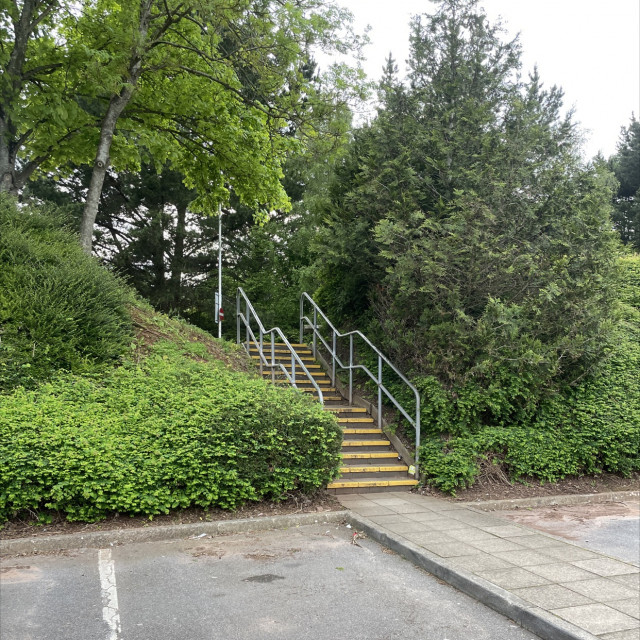 Rail