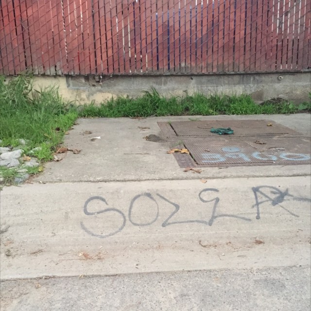 Spot #12307