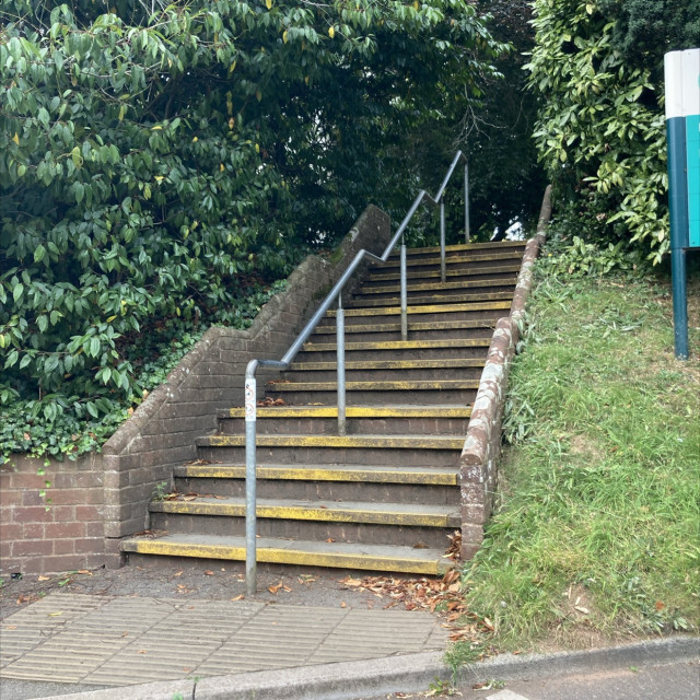 Spot #43294