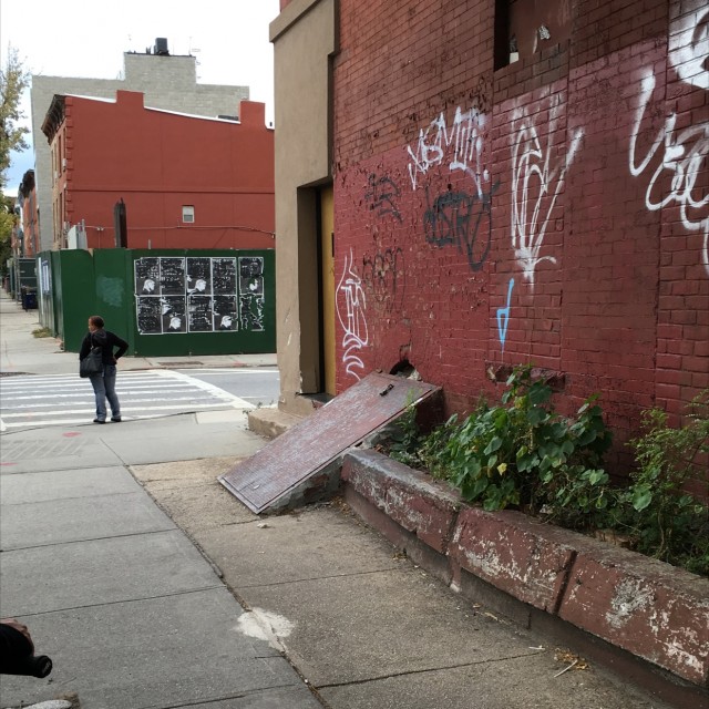 Spot #6298