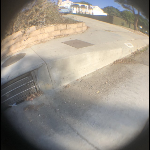 LA downledge