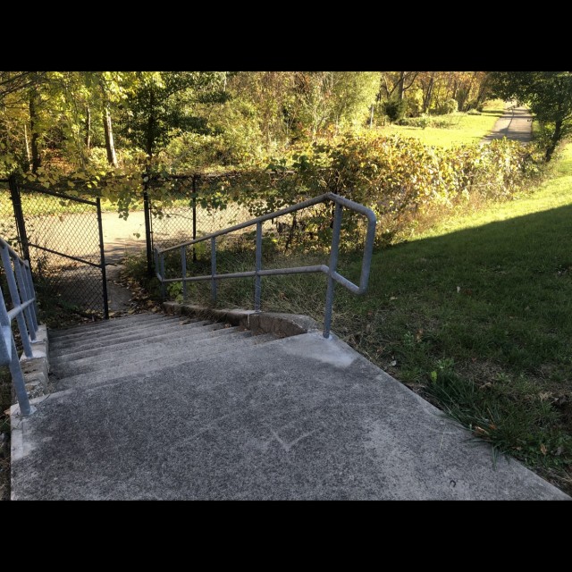 Wild rail through a fence. 