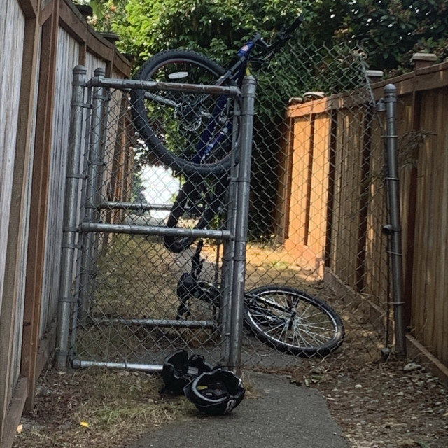Free bike