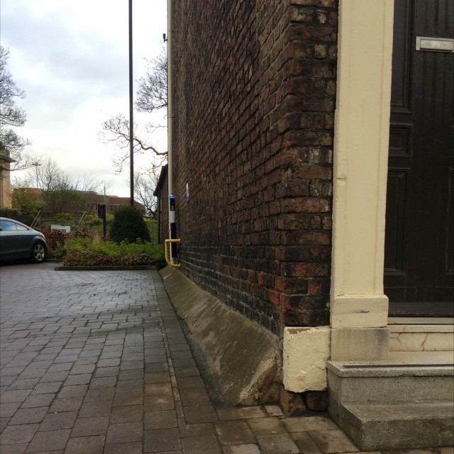 Spot #7207