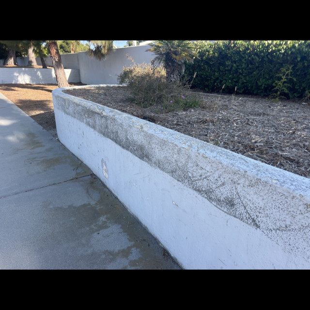 Bank crusty ledge