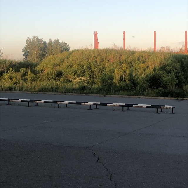 Zebra flat rail IT City