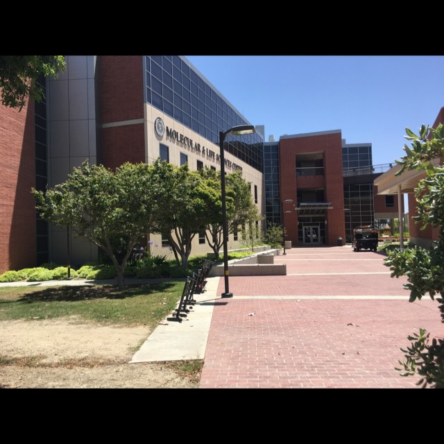 Fuck Plaza