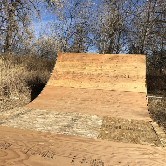 Backyard half pipe 