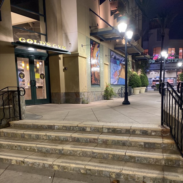 Golds gym 4 stair 