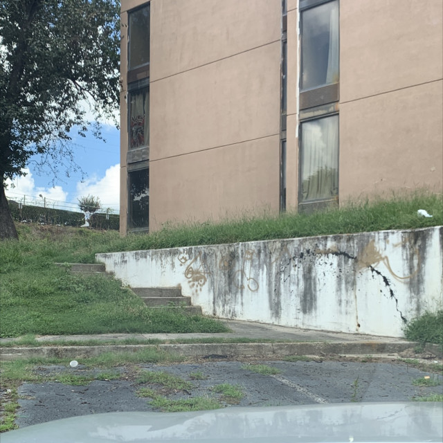 Spot #48825