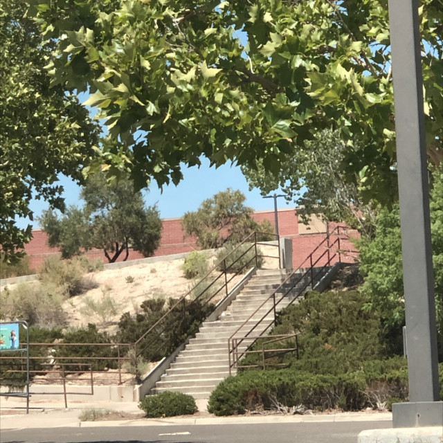 Spot #33992